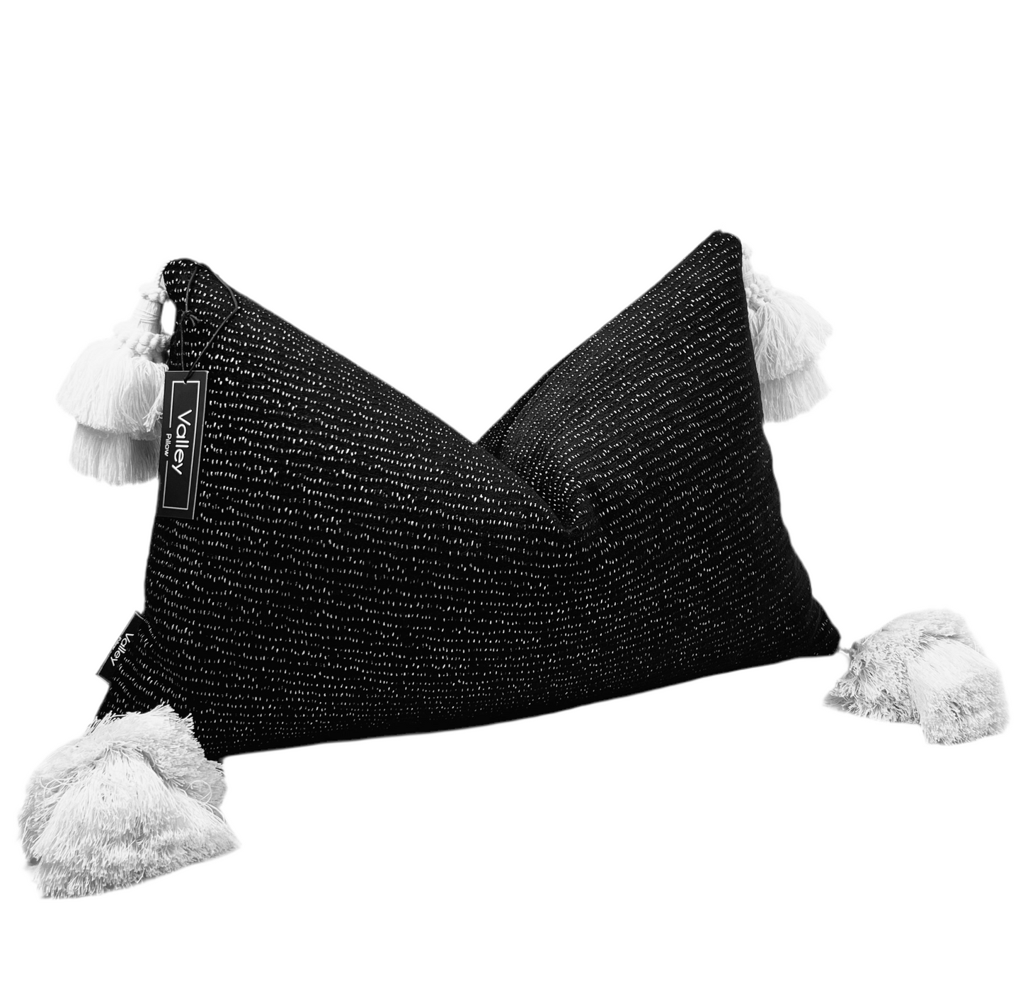 Black & White Tassel Pillow