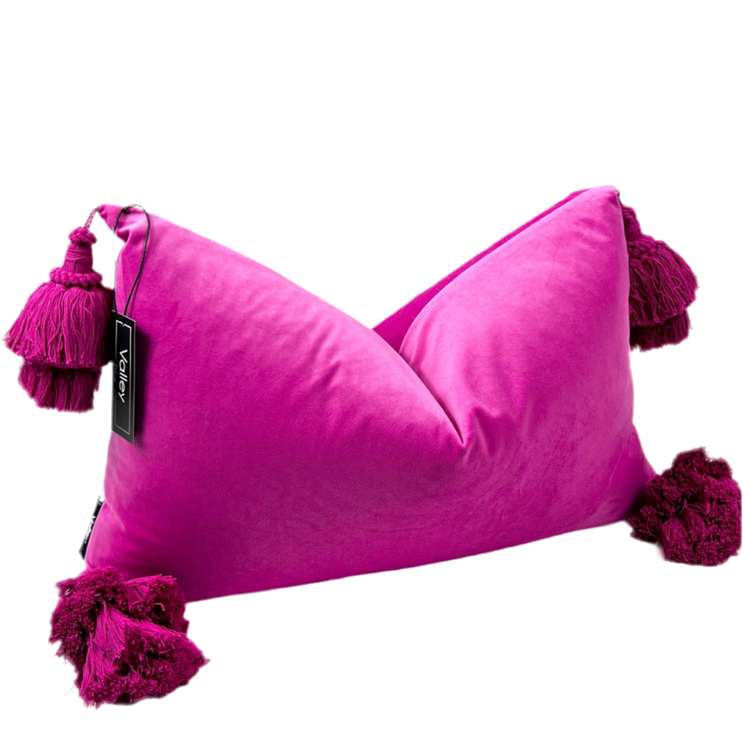 Hot Pink Tassel Pillow