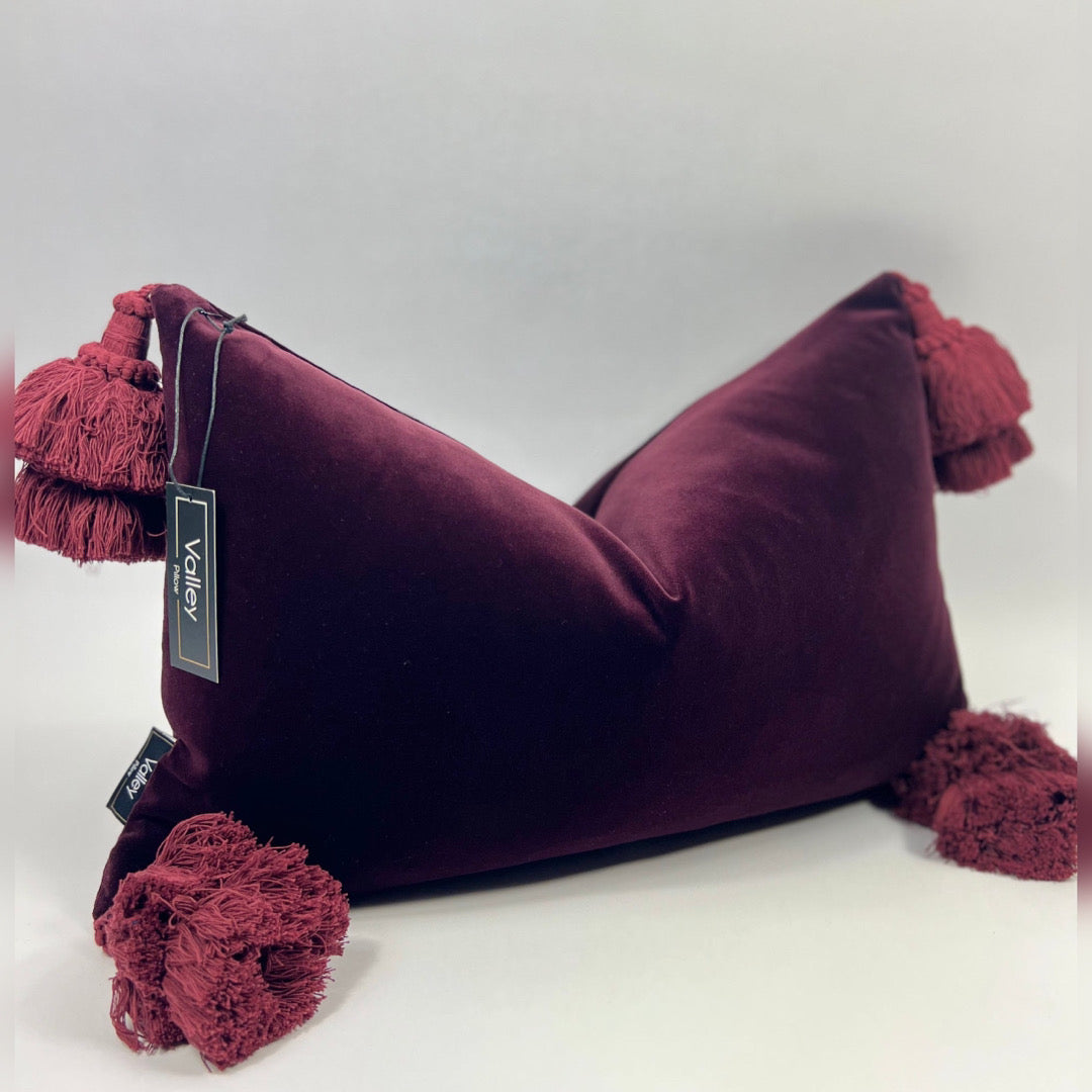 Burgundy Tassel Pillow