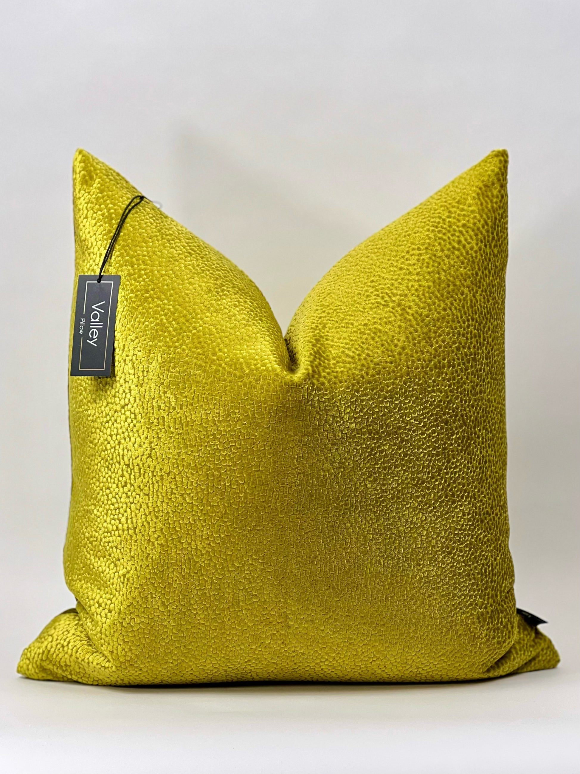 Perigold Valley Pillow