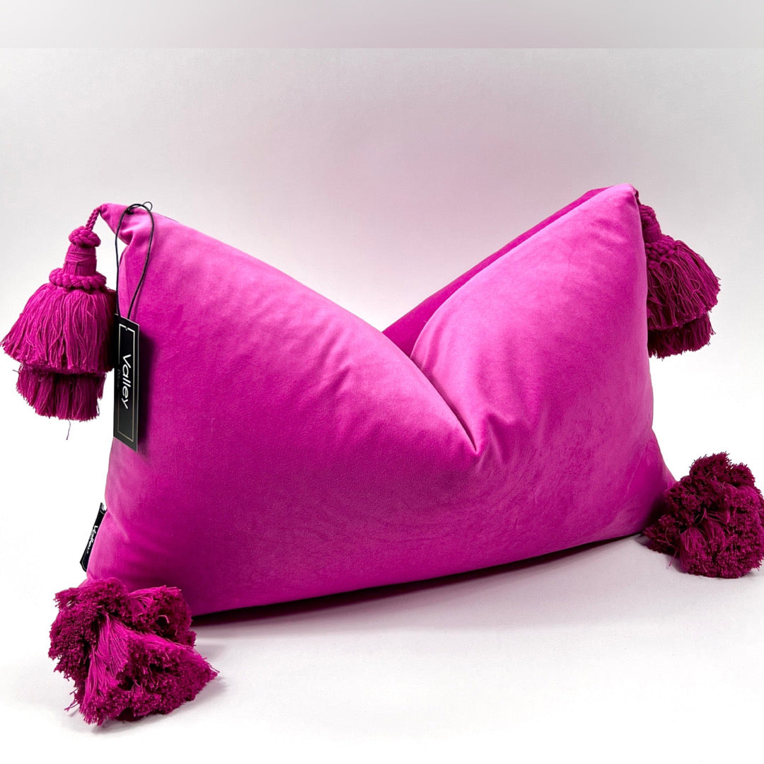 Hot Pink Tassel Pillow