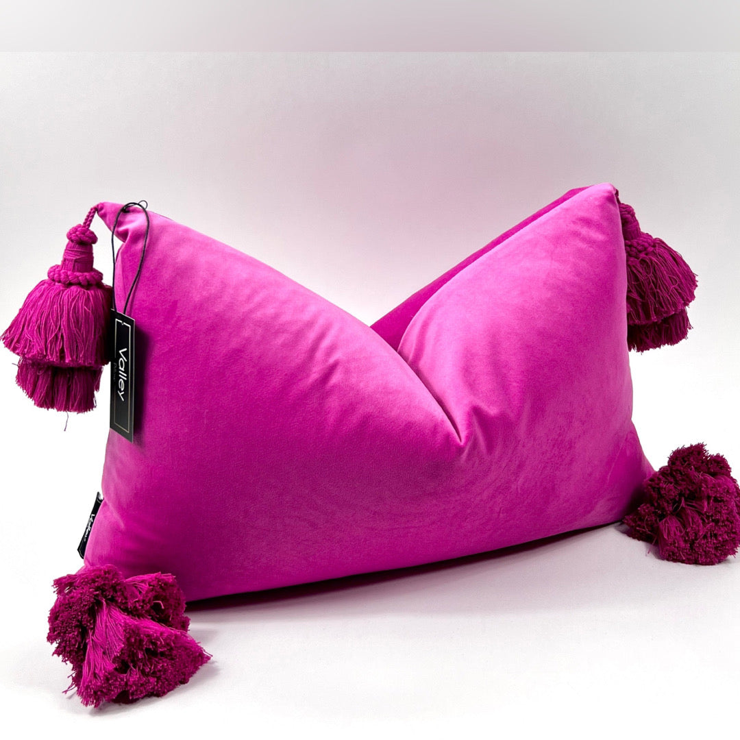 Hot Pink Tassel Pillow