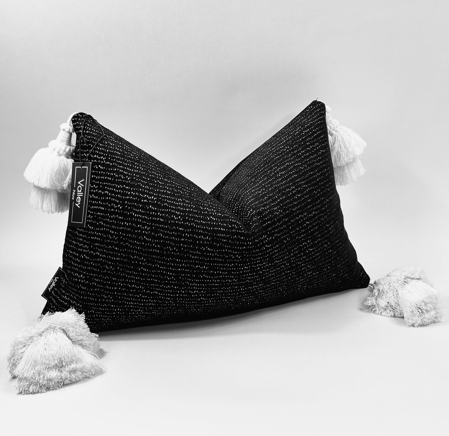 Black & White Tassel Pillow